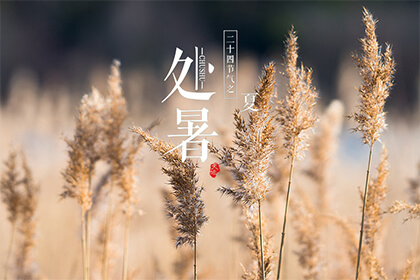2022年虎年处暑节气在哪一天？处暑节气有关诗句