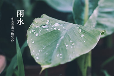 2022年雨水具体时间，雨水节气物候特点