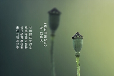 2022年谷雨是几月几日？谷雨节气诗词谚语