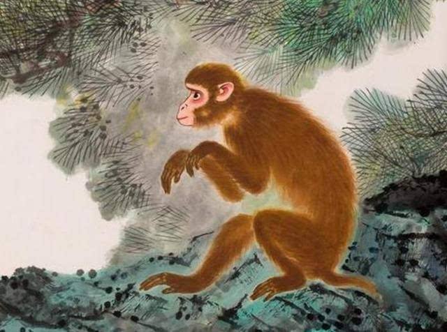 庚申年出生的属猴人在2018年中都有哪些好运？