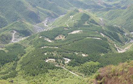 阴宅风水图解