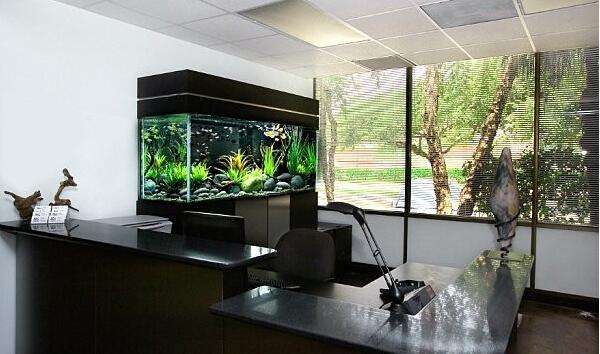 办公室养鱼风水禁忌