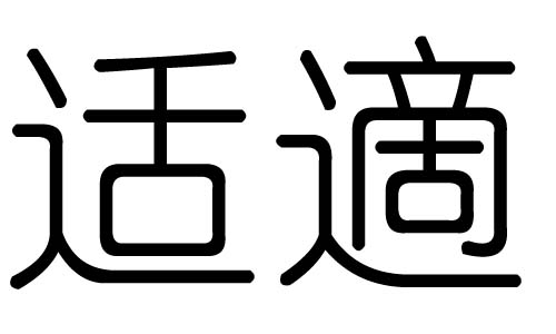 适字的五行属什么,适字有几划,适字的含义