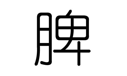脾字的五行属什么,脾字有几划,脾字的含义