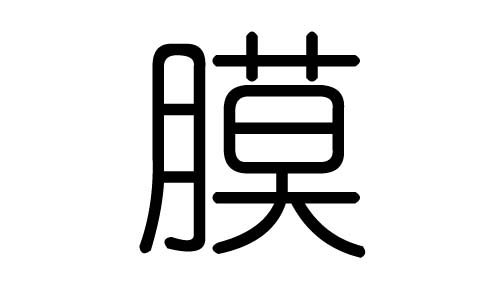 膜字的五行属什么,膜字有几划,膜字的含义