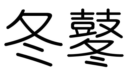冬字的五行属什么,冬字有几划,冬字的含义