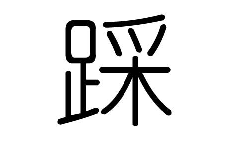 踩字的五行属什么,踩字有几划,踩字的含义