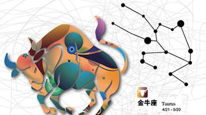 金牛女：喜欢钱