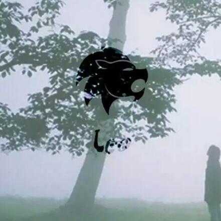 狮子座女生愿意嫁给房奴吗?