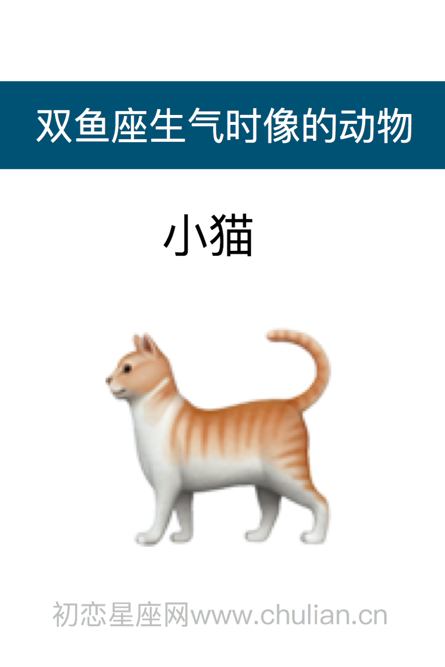 双鱼座是什么动物