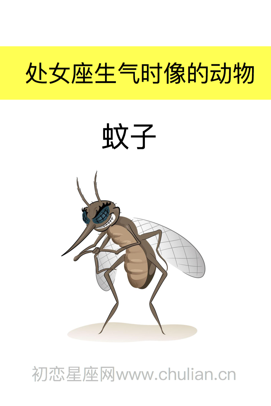 处女座是什么动物