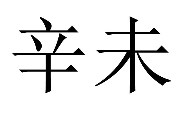 辛未是什么意思