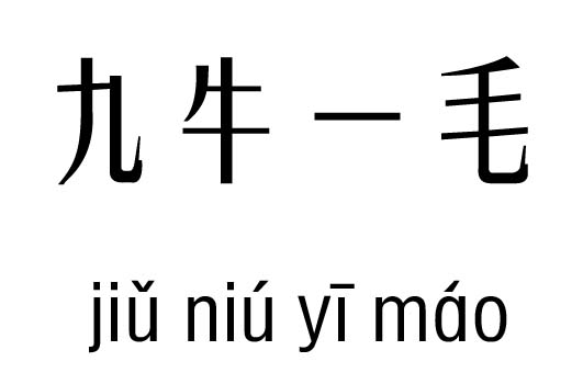 九牛一毛五行吉凶_九牛一毛成语故事