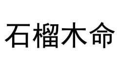 石榴木命是什么意思？石榴木命好不好？