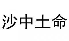 沙中土命是什么意思？沙中土命好不好？