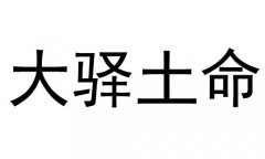 大驿土命是什么意思？大驿土命好不好？