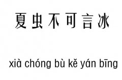 夏虫不可言冰五行吉凶_夏虫不可言冰成语故