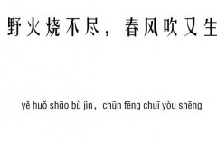 野火烧不尽，春风吹又生五行吉凶_野火烧不尽，