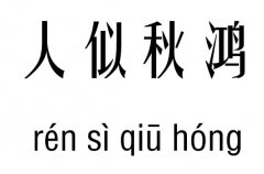 人似秋鸿五行吉凶_人似秋鸿成语故事