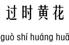 过时黄花五行吉凶_过时黄花成语故事