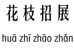 花枝招展五行吉凶_花枝招展成语故事