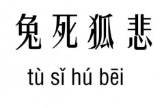 兔死狐悲五行吉凶_兔死狐悲成语故事