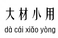 大材小用五行吉凶_大材小用成语故事