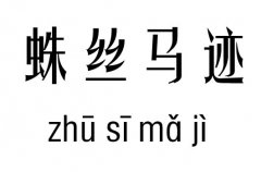 蛛丝马迹五行吉凶_蛛丝马迹成语故事