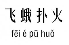 飞蛾扑火五行吉凶_飞蛾扑火成语故事