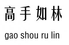 高手如林五行吉凶_高手如林成语故事