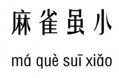 麻雀虽小，五脏俱全五行吉凶_ 麻雀虽小，五脏俱全成语故事