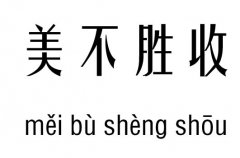 美不胜收五行吉凶_美不胜收成语故事