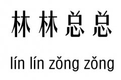 林林总总五行吉凶_林林总总成语故事