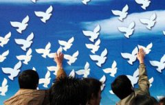 国际和平(与民主自由)斗争日是什么节？  国际