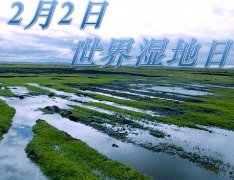 世界湿地日是什么节？世界湿地日是哪天？世界湿