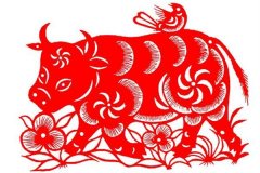 属牛的男人的性格