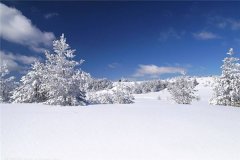 梦见积雪