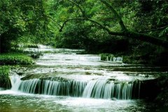 梦见河流、溪流