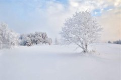 梦见雪地