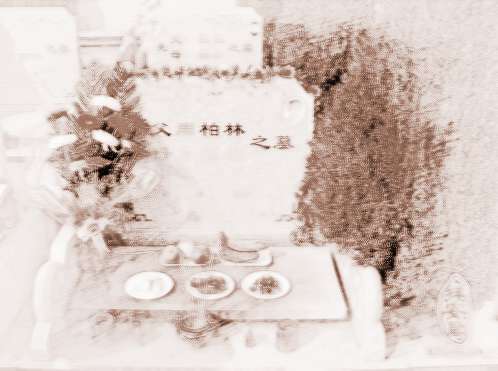 墓地附近不能有什么