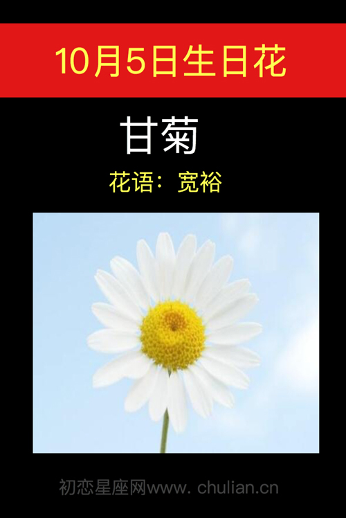 10月5日生日花：甘菊