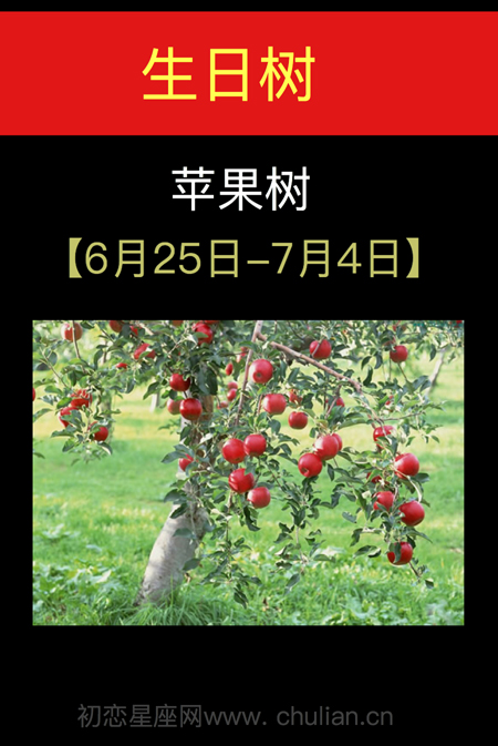 6月25日-7月04日(苹果树)