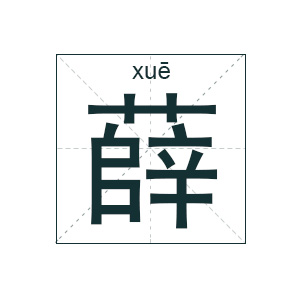 薛姓起名,薛姓男孩起名,姓薛男孩名字大全