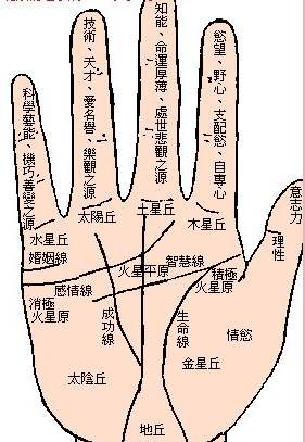 手相看命运图解