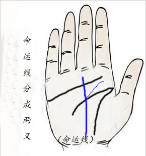命运线分叉