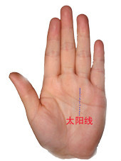 教你看手相测命运图解 教你看手相测命运图解