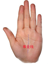 教你看手相测命运图解 教你看手相测命运图解