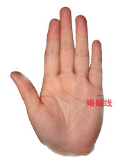 教你看手相测命运图解 教你看手相测命运图解