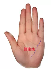 男左女右,教你手相看命,很准! 男左女右,教你手相看命,很准!