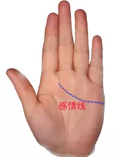 男左女右,教你手相看命,很准! 男左女右,教你手相看命,很准!